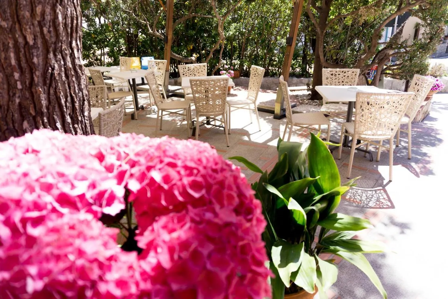 ***  Hotel Sardi Pomonte Italy